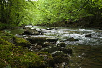 Mountain river, mountain river in the summer forest. Pebbles in the streams of a mountain river. Scenery. 