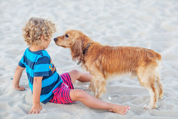 Curly boy playing with a dog by the sea