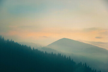 Naklejka premium Silhouettes of spruce forest and mountains against the background of a pastel pink dawn sky