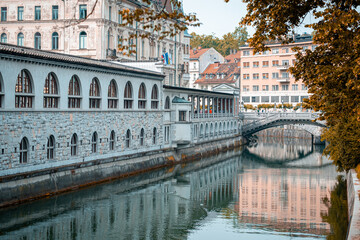 Ljubljanica, the river of the capital of Slovenia