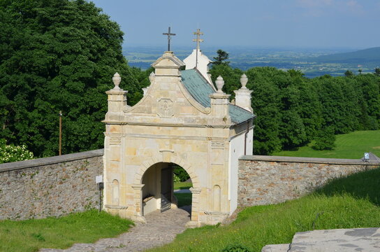 Dąb , Bartek , Zagnańsk  , Zagnańsk  dąb Bartek stary Dąb  ,Zagnańsk , plac zabaw , Zagnańsk
