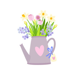garden tin watering can filled with blossoming flowers.  yellow daffodils, pink tulips and lilac forget-me-nots.  vector illustration.