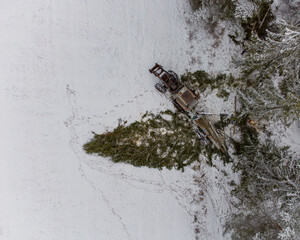 Cutting down trees