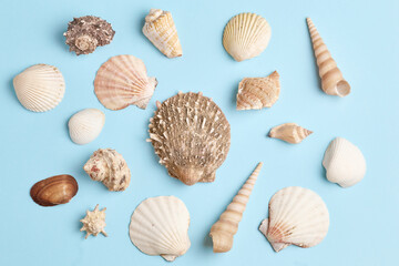 beautiful summer pattern of various seashells on a blue background. flat lay, top view
