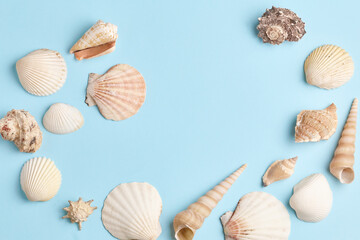 summer mockup. frame made of shells and seashells on light blue background. simple flat lay, place for text