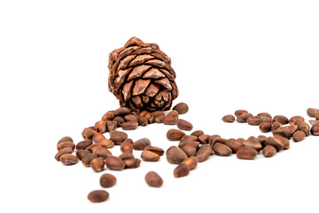Obraz na płótnie Canvas Pine nuts and ripe pine cones on a white background