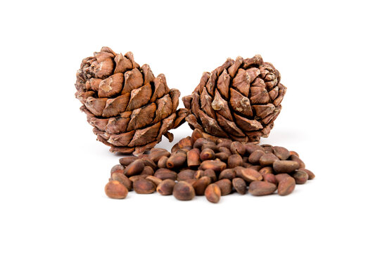 Pine nuts and ripe pine cones on a white background