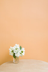 Jasmine bouquet on a round table on an orange background. Vertical photo. Background for stories