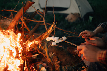 Cooking marshmallows on a fire in the forest on wooden sticks. Tourists fry marshmallows on the fire at night while sitting near the tent. Flame.