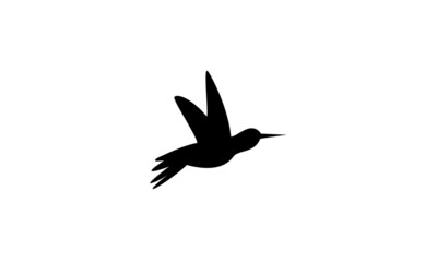 bird icon illustration vector fly