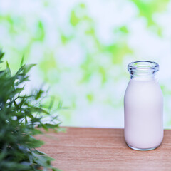 牛乳　ミルク　【 高原 の 朝 イメージ 】
