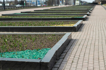 City flower bed. Land for planting plants in a large flower bed.
