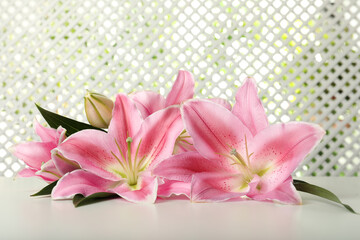 Beautiful pink lily flowers on white table