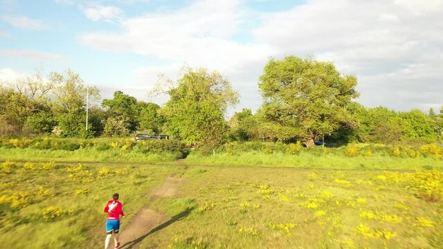 Aerial view of a person jugging in a huge public park, colourful background