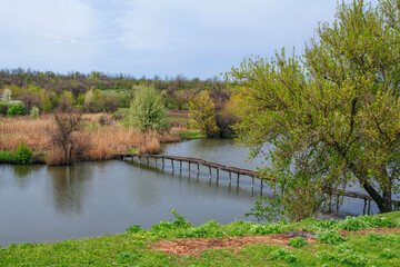 Fototapeta na wymiar Beautiful spring landscape with river, old wooden bridge, green grass and dry reeds growing on the shore. Blooming trees and blue sky. 