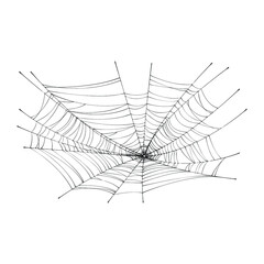 Cobweb network background. Halloween spider web, frames and borders, scary elements for decoration.Vector illustration, isolated black white line art, sketch, doodle
