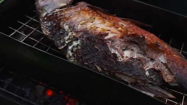 people preparing baking fish on backyard. Close up on Smoked fish in mini Makeshift metal smokehouse box frying on fire. Hot smoked river bass fish cooked.Bbq, grill and picnic time.