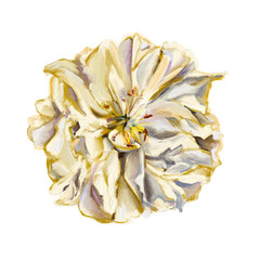 Peonies. Oil painting.