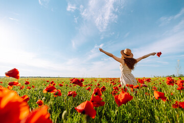 Back view. Young curly woman  in hat posing in the poppy field. Nature, vacation, relax and...