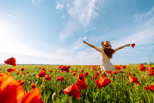Back view. Young curly woman  in hat posing in the poppy field. Nature, vacation, relax and lifestyle. Summer landscape.