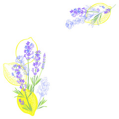 Floral background with  lavender flowers, lemons and place for text. Vector illustration on  white. Invitation, greeting card or an element for your design.