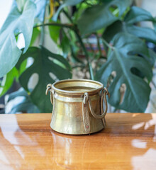 Vintage copper cauldron on a wooden table with plants in the background