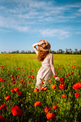Back view. Young curly woman  in hat posing in the poppy field. Nature, vacation, relax and...
