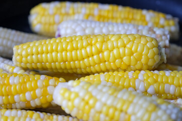 Close up of a fresh sweetcorn.