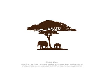 African Acacia Tree Silhouette with Elephant for Wild Safari or Conservation Logo Design Vector - obrazy, fototapety, plakaty