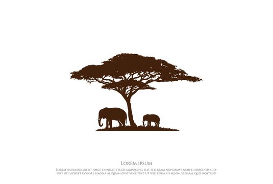 African Acacia Tree Silhouette with Elephant for Wild Safari or Conservation Logo Design Vector