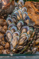 Thai seafood flavor mantis shrimp shrimp oyster and mussels / Cooked food served seafood buffet concept