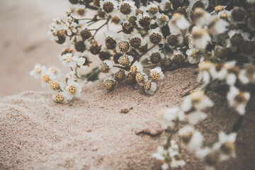 bunch of flowers
