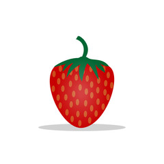vector illustration of strawberry fruit design. red texture. white isolated. modern fruit design