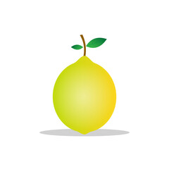 vector illustration of lemon fruit design.yellow texture. white isolated. modern fruit design