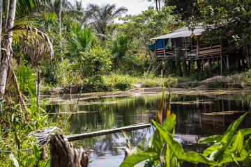 Casa simples no interior do Amazonas