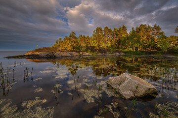 Quiet swamp on the shore of the northern lake on a warm sunny evening