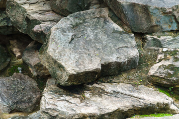 Top view of large granite stone with small grasses, lichen and moss in the park.