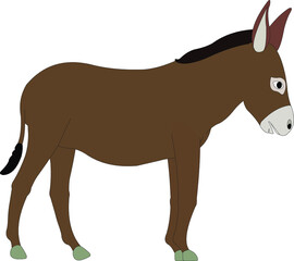 horse cartoon isolated on white