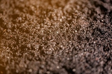 Black land soil for plant background.