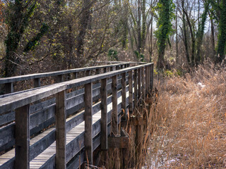 Fototapeta premium Wood bridge across a pond 