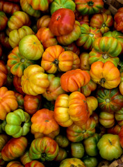 Tomatoes on the market