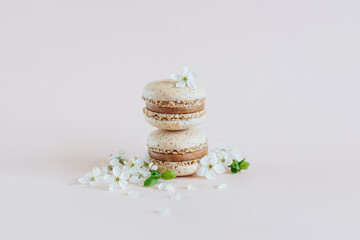 Tasty French macarons with spring blossom on a pastel background.