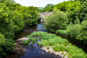 Fototapeta na wymiar View of River Torridge, Rolle Bridge and Distant Historic Rothern Bridge in Summer: the River Torridge Great Torrington, Devon, England.