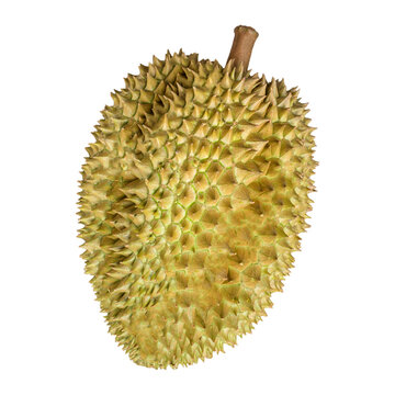 DURIAN MALAYSIA