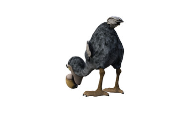 Funny cartoon character vulture baby isolated on a white background. 3d figure, clip art as a template for collage. 3d rendering, 3d illustration. © W.S. Coda