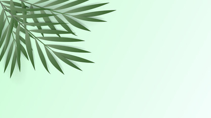 Palm leaves frame in Summer session,isolated on green background, Vector illustration EPS 10