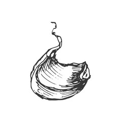 garlic vegetables vector graphics. Sketch doodle illustration hand drawn print textile. Vintage retro  set clipart spicy condiments foods
