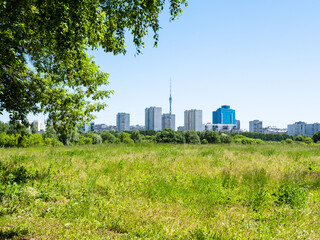 Fototapeta na wymiar green overgrown meadow and residential district on horizon on sunny summer day