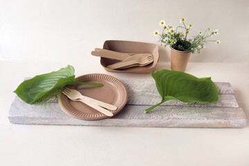 Environmentally friendly disposable tableware made from natural materials, leaves on a light...