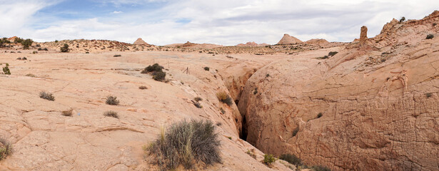 Escalante slot canyon in a dry desert environment near Utah, USA.